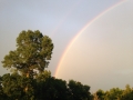 Rainbow over Home Farm